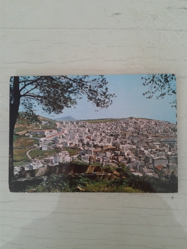 Cartoline 