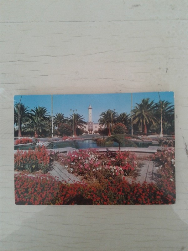 Cartoline