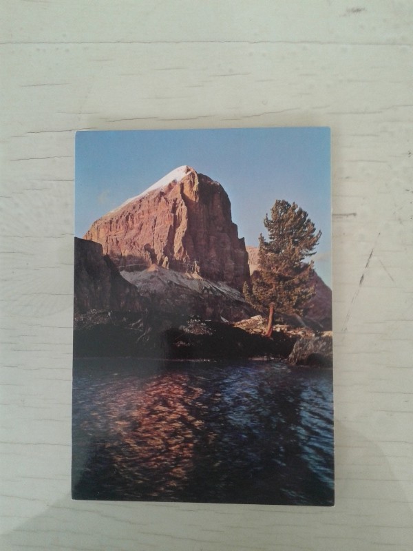 Cartoline