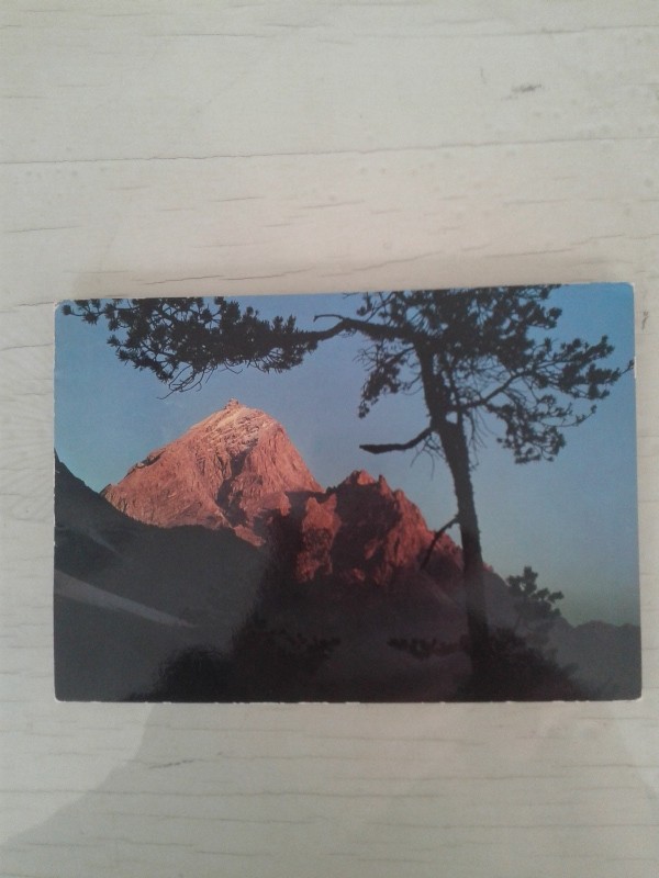 Cartoline