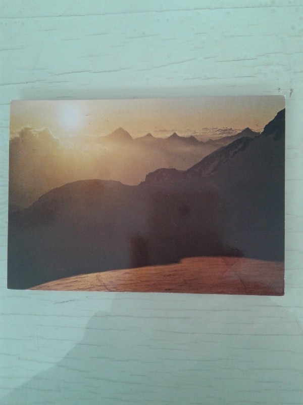 Cartoline