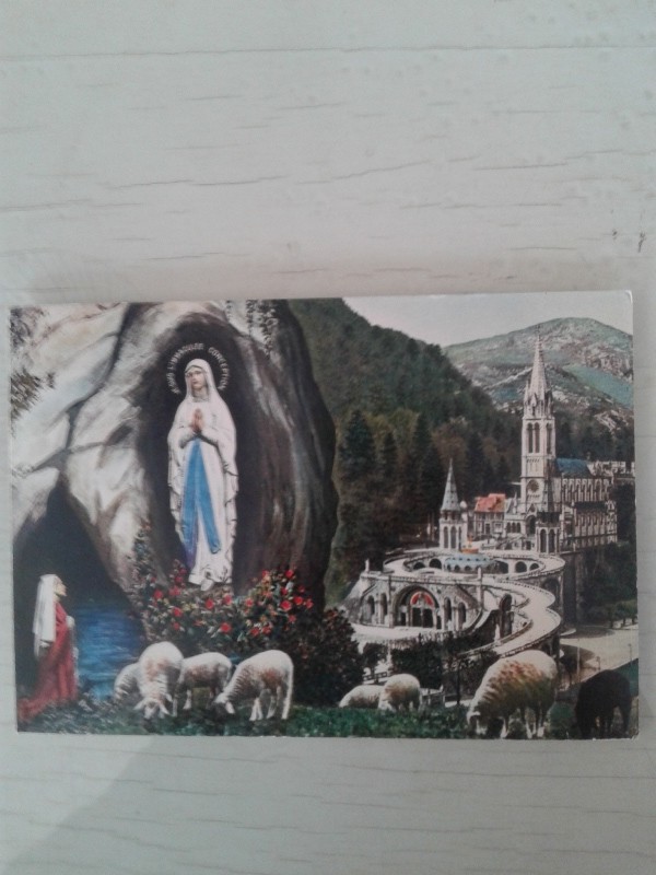 Cartoline