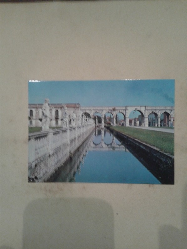 Cartoline