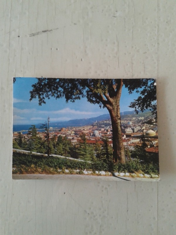 Cartoline