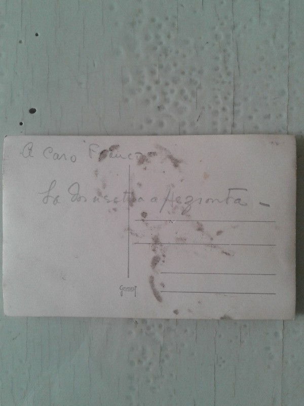 Cartoline bianco e nero vintage /cane