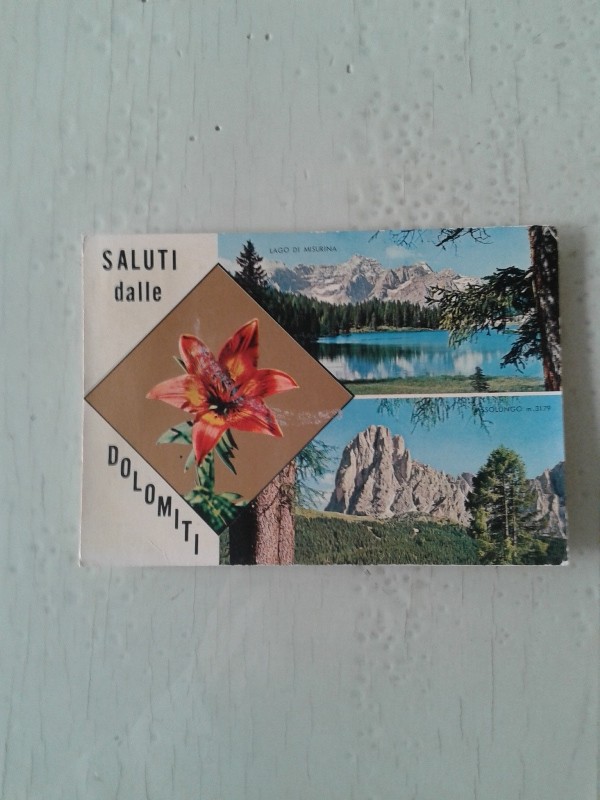 Cartoline montagna