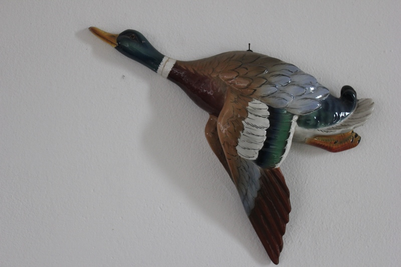Ceramica/animali 39x30h/ 31x25h