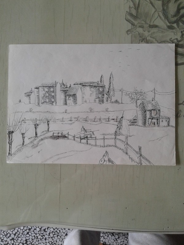 Disegno a china 33x24h