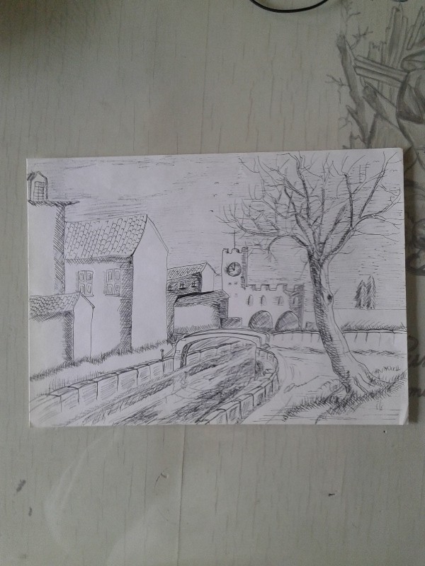 Disegno a china 33x24h