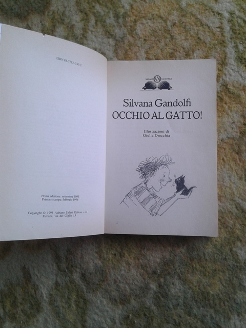 Occhio al gatto - Silvana Gandolfi