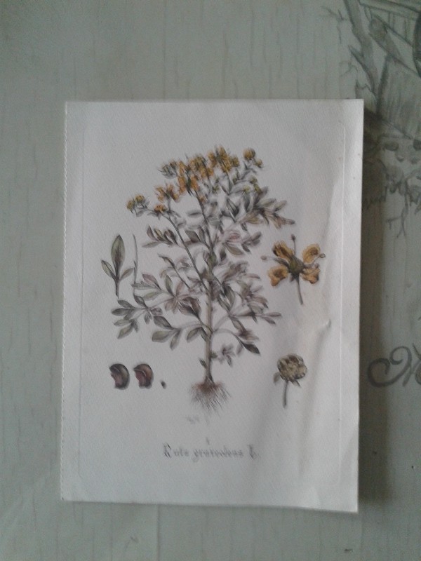 Stampa 20x27h