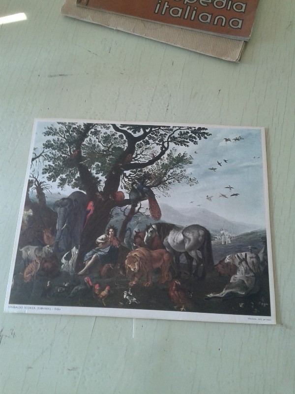Stampa 27,5x22,5h