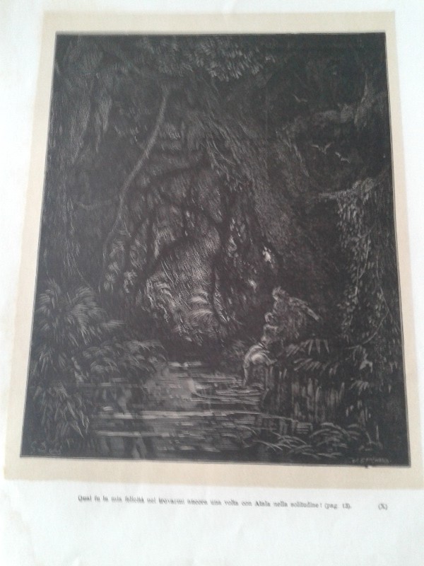 Stampa 28x38h