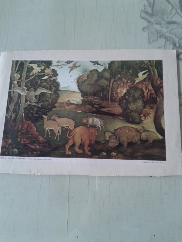 Stampa 31,5x22h