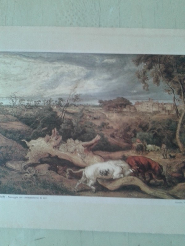 Stampa 31,5x24h 