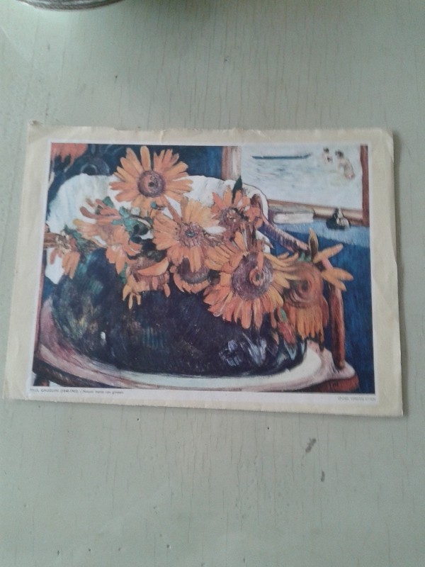 Stampa 31,5x24h
