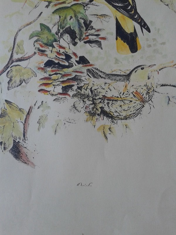 Stampa a colori 30x42h